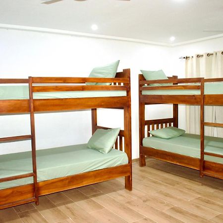 Tree House Hostel Tamale Zewnętrze zdjęcie