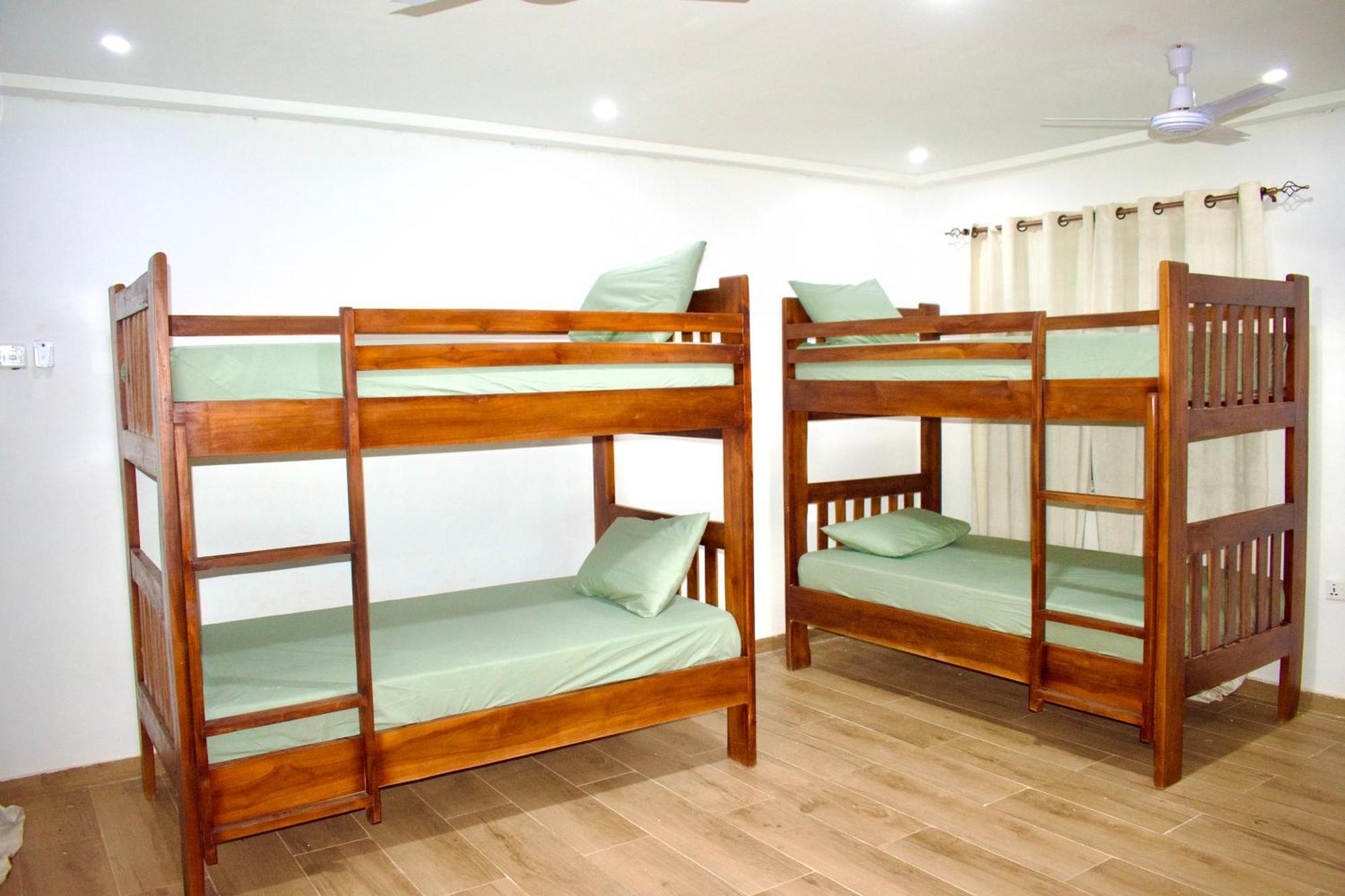 Tree House Hostel Tamale Zewnętrze zdjęcie
